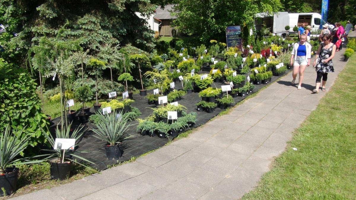 Vastseliina-Maarahva-Laat-2