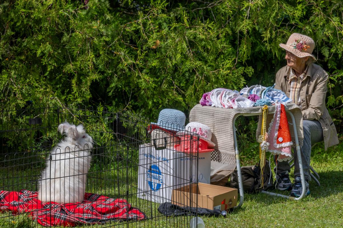 Fotod-Aigar-Nagel-25